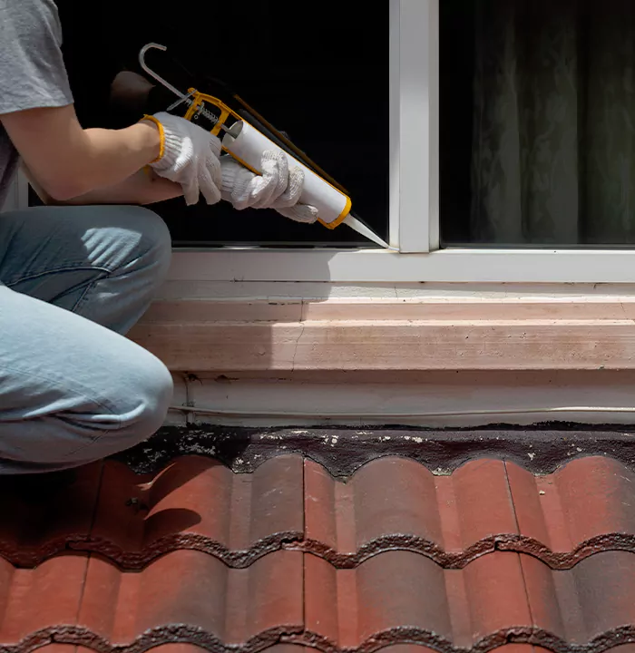 Roof Window Services in Palo Alto, California