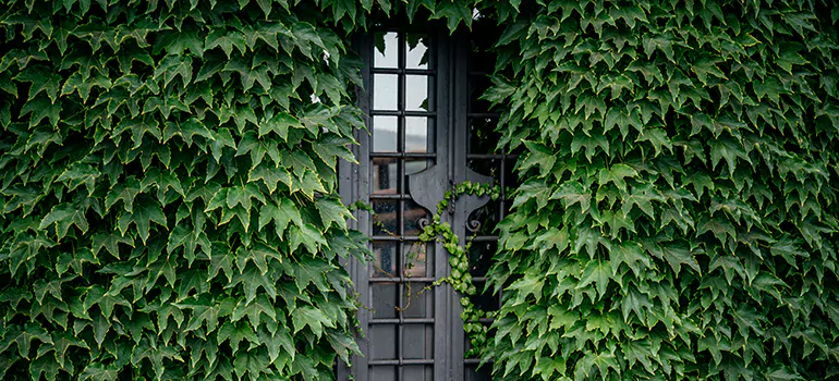 Garden Gate Repair in Palo Alto, CA