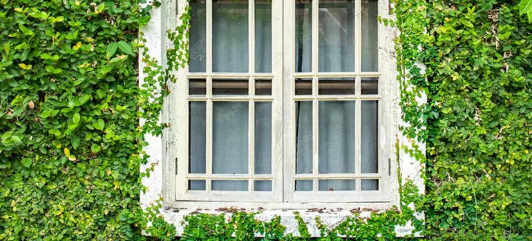 Garden Window Repair Near Me in Palo Alto, CA