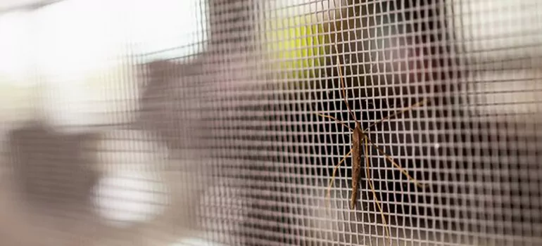 Repair Mosquito Mesh For Windows in Palo Alto, CA